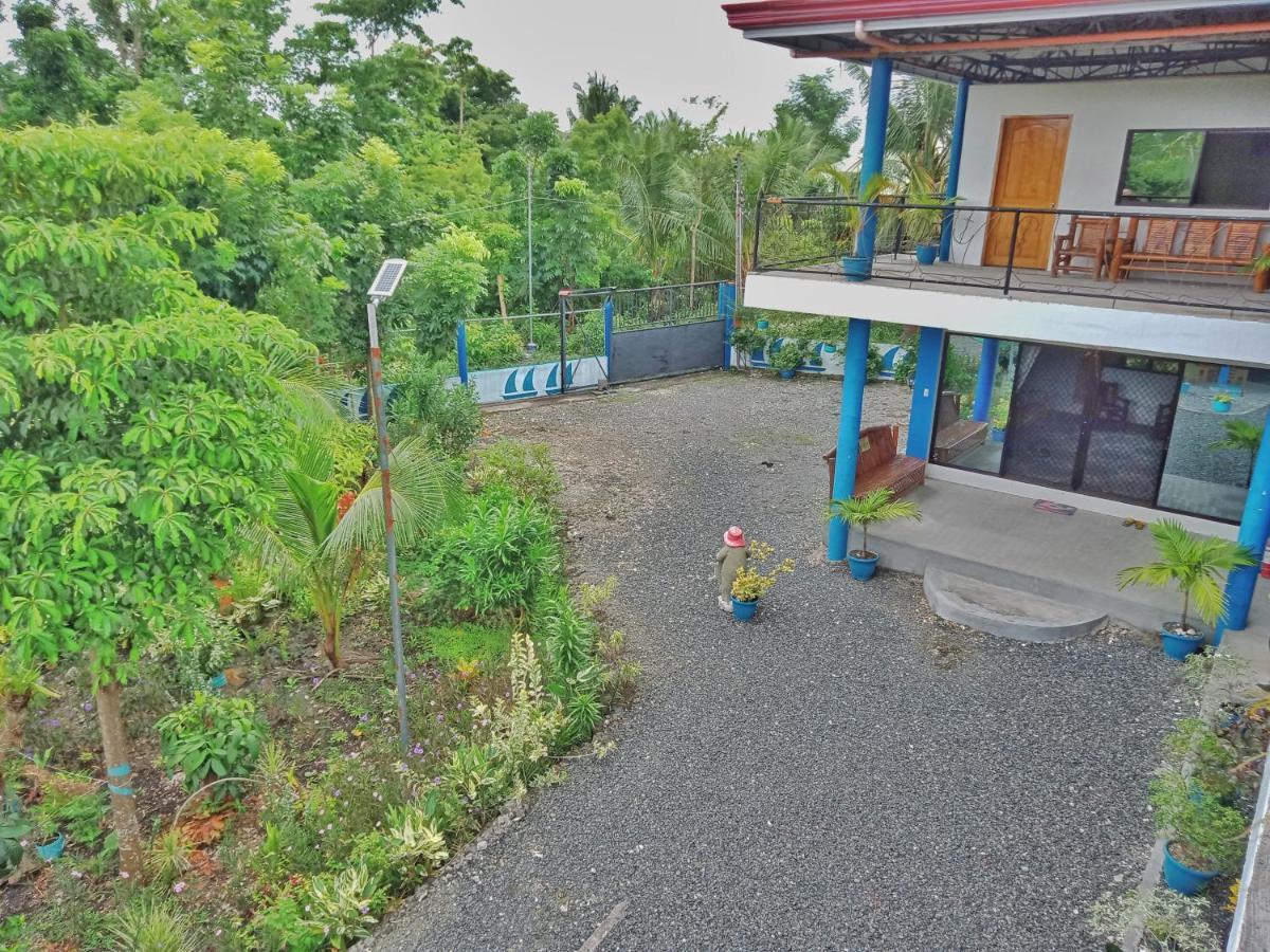 Happy Bear Moalboal Exterior foto